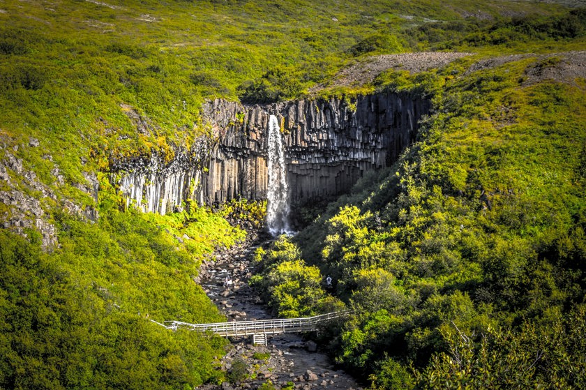 Alþjóðlegur dagur húmanista í dag, 21. júní