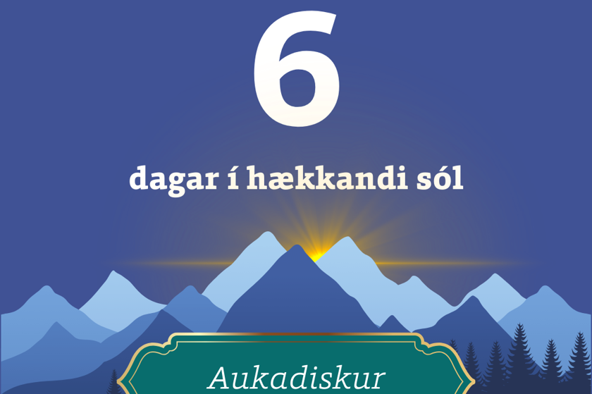 Aukadiskur